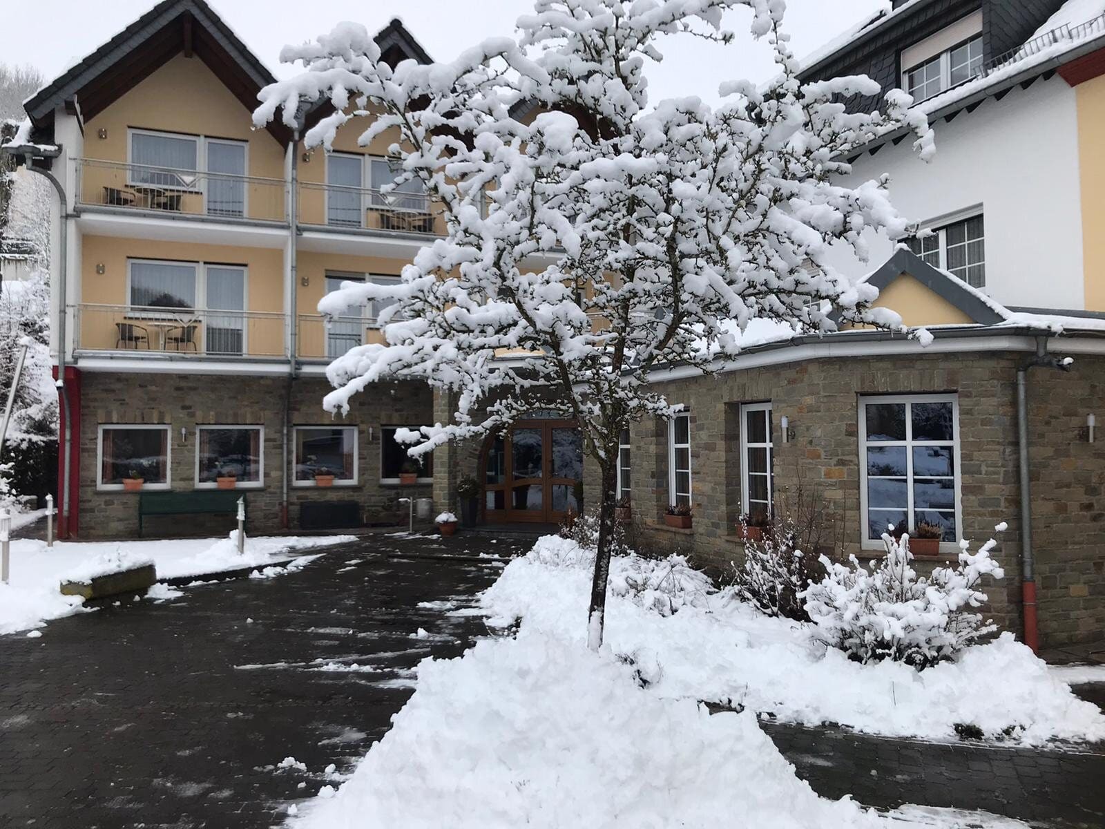 Entrée de l'hôtel avec un arbre enneigé