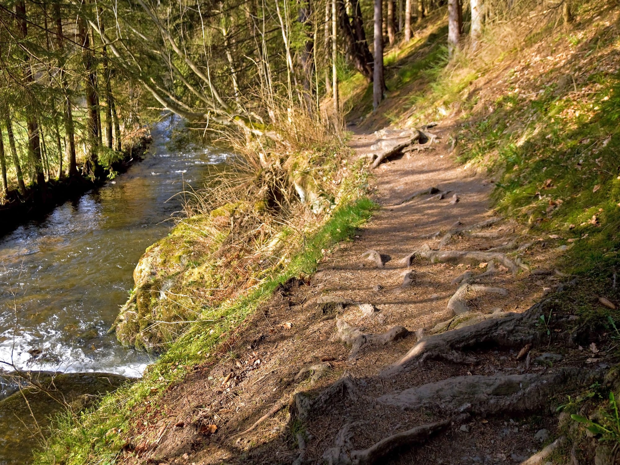 Genussvolle Eifler Wandertage
